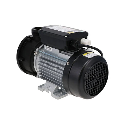 Cirkulations pump LX DH100 1,0hp